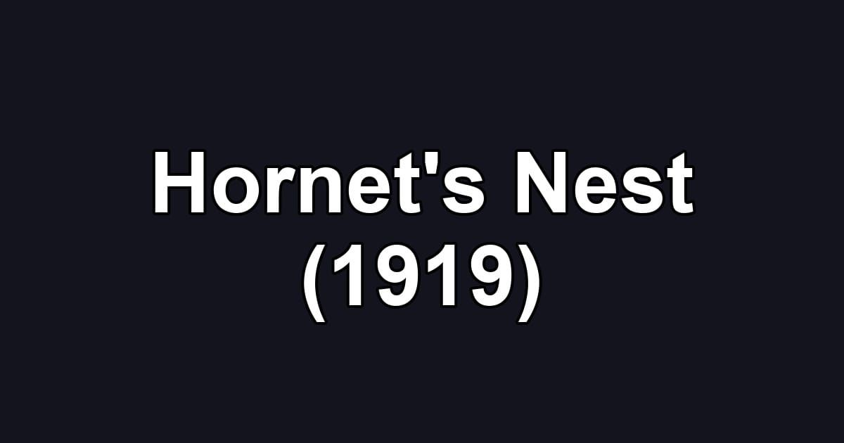 Hornet's Nest (1919)