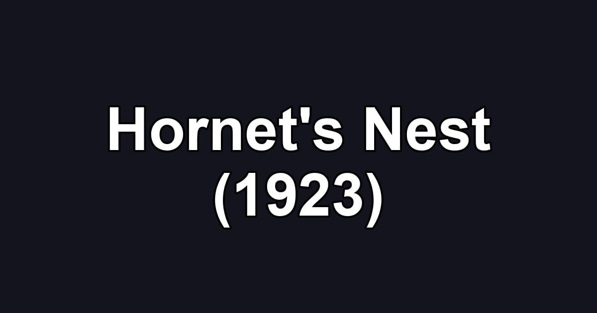 Hornet's Nest (1923)