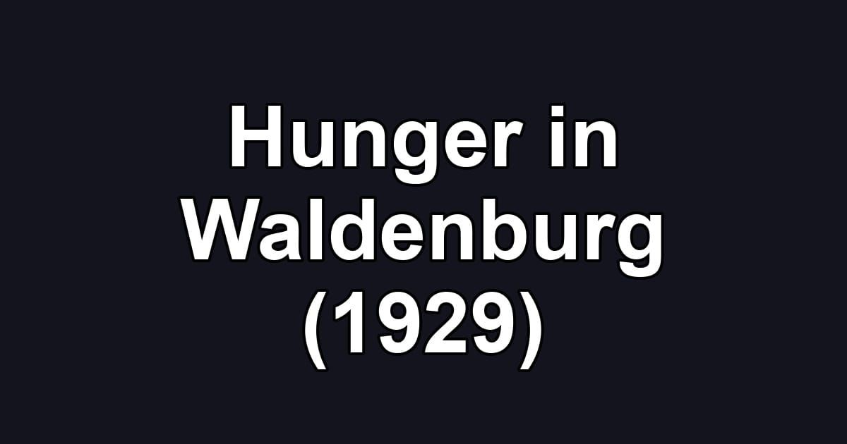 Hunger in Waldenburg (1929)