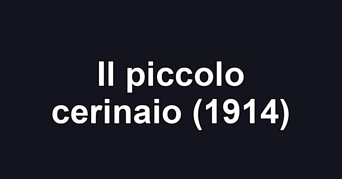 Il piccolo cerinaio (1914)