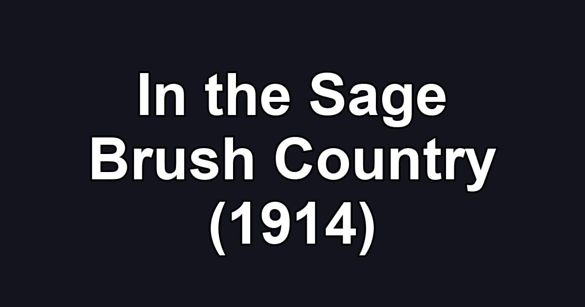 In the Sage Brush Country (1914)