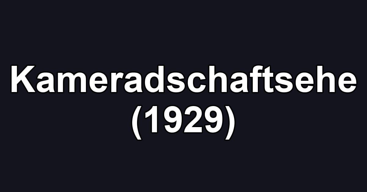 Kameradschaftsehe (1929)