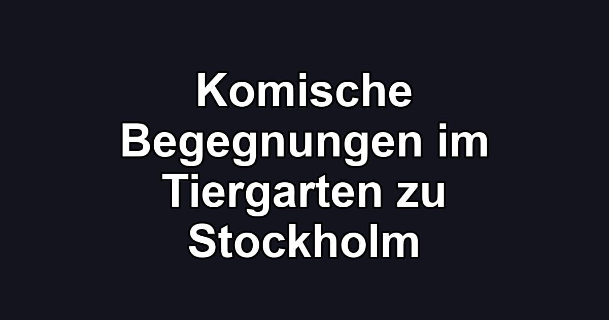 Komische Begegnungen im Tiergarten zu Stockholm