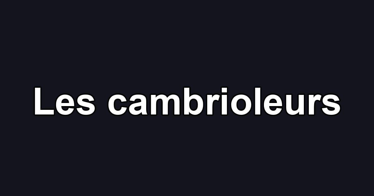Les cambrioleurs
