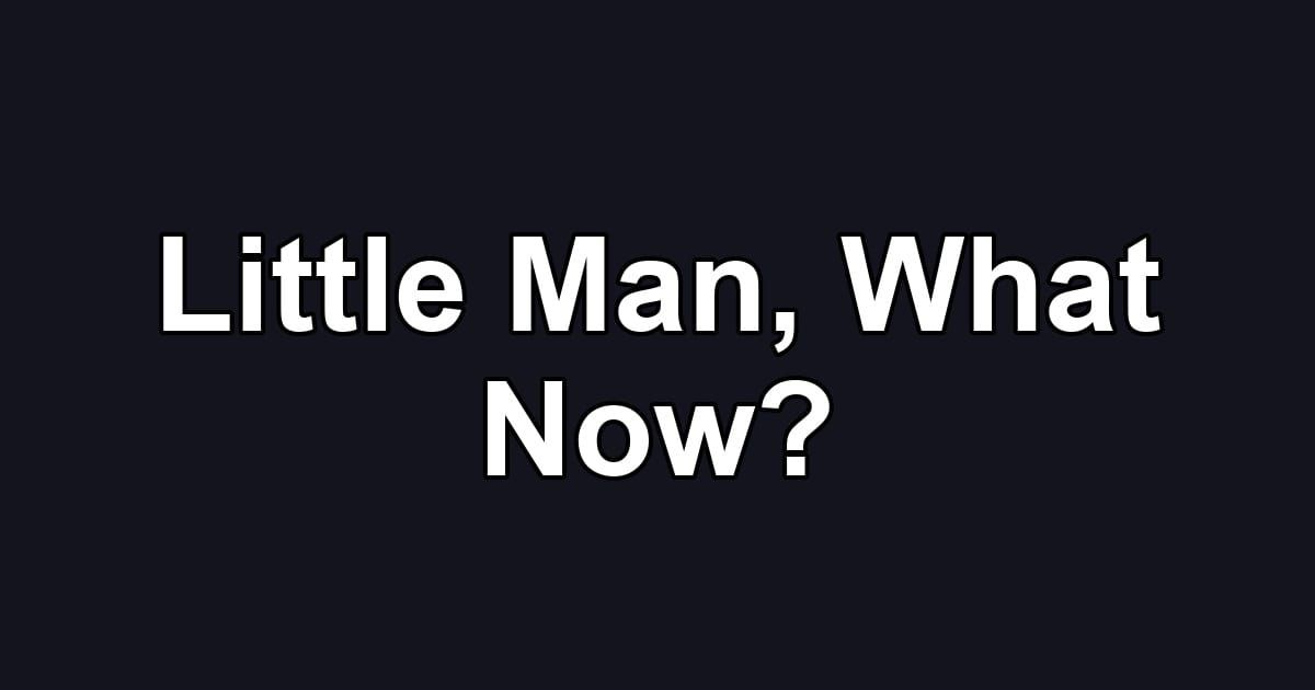 Little Man, What Now?