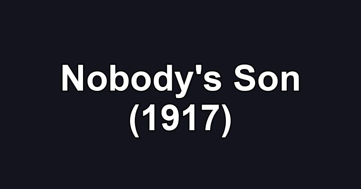 Nobody's Son (1917)