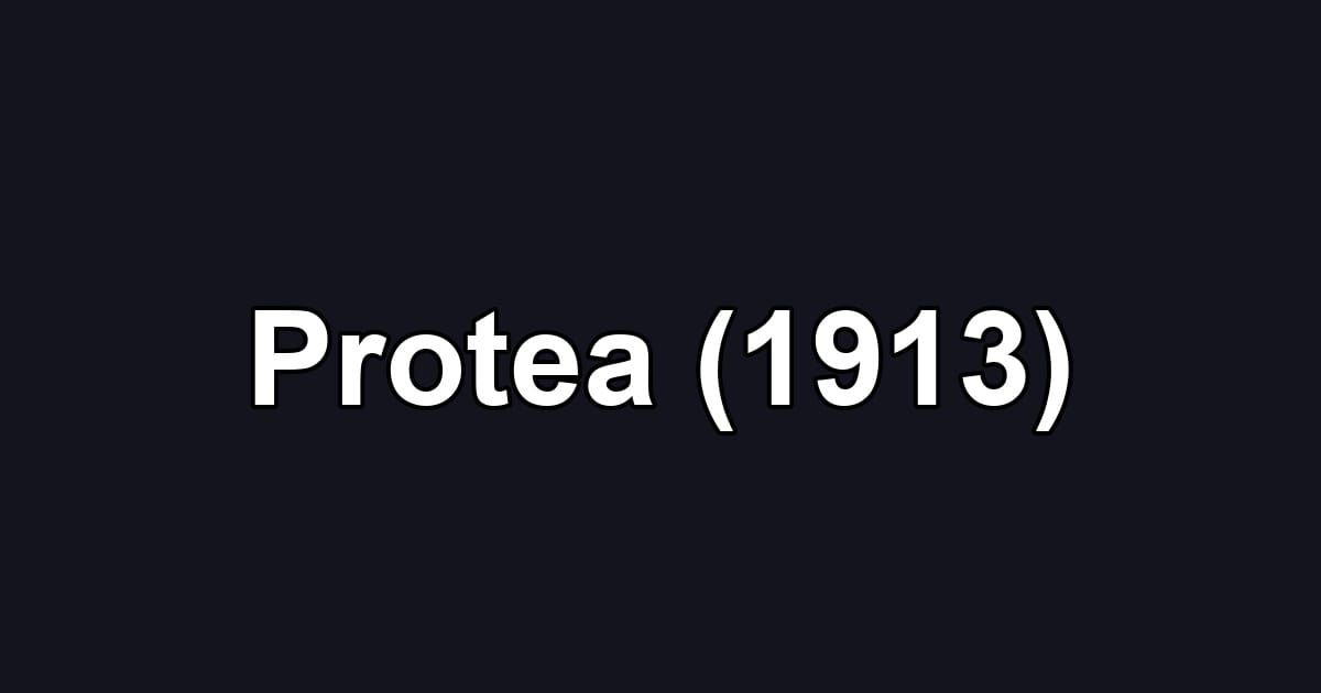 Protea (1913)