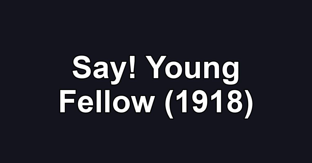 Say! Young Fellow (1918)
