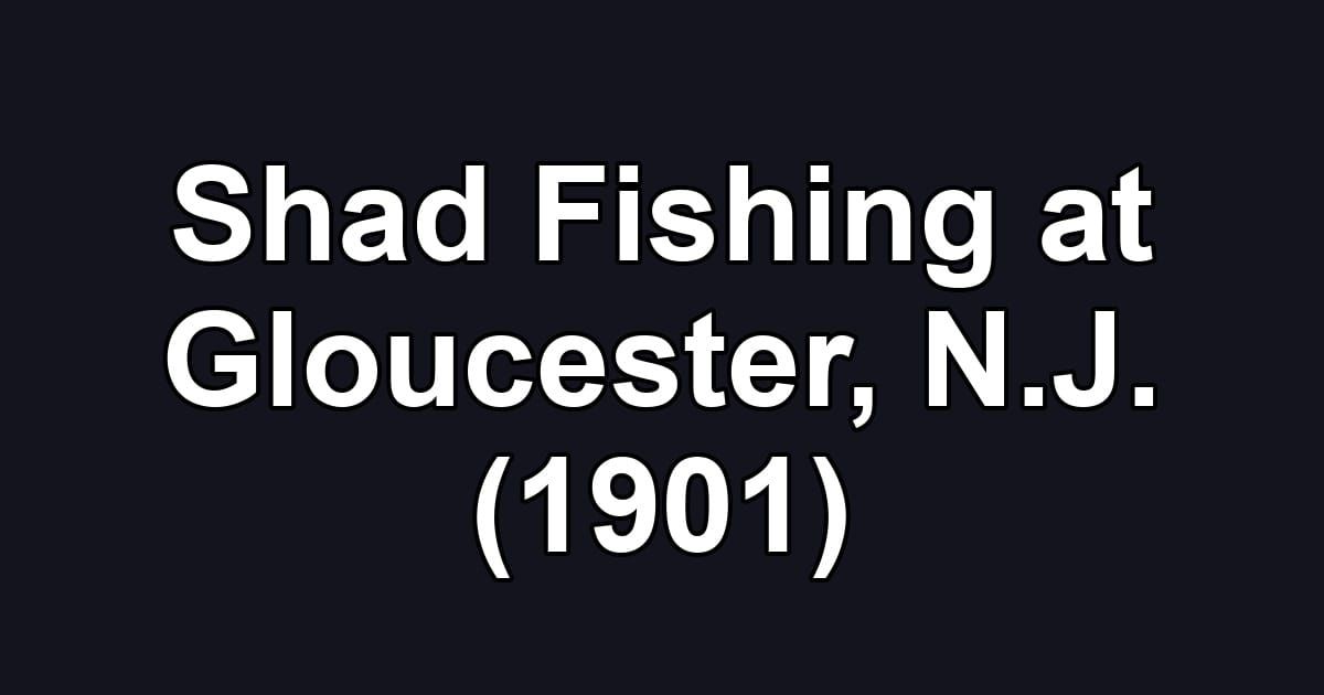 Shad Fishing at Gloucester, N.J. (1901)