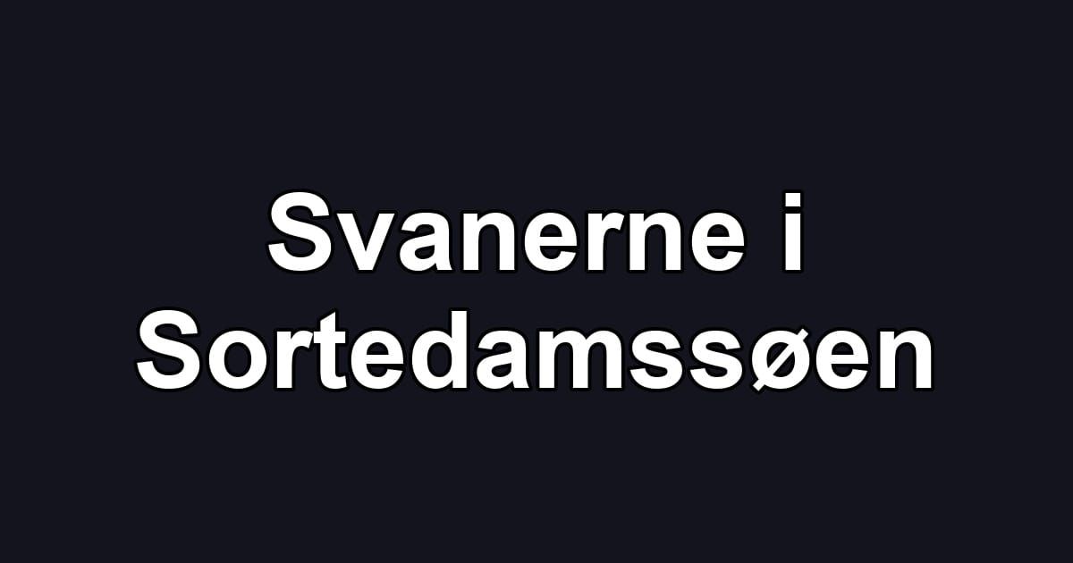 Svanerne i Sortedamssøen