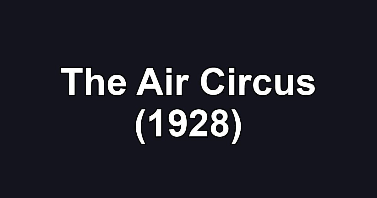 The Air Circus (1928)