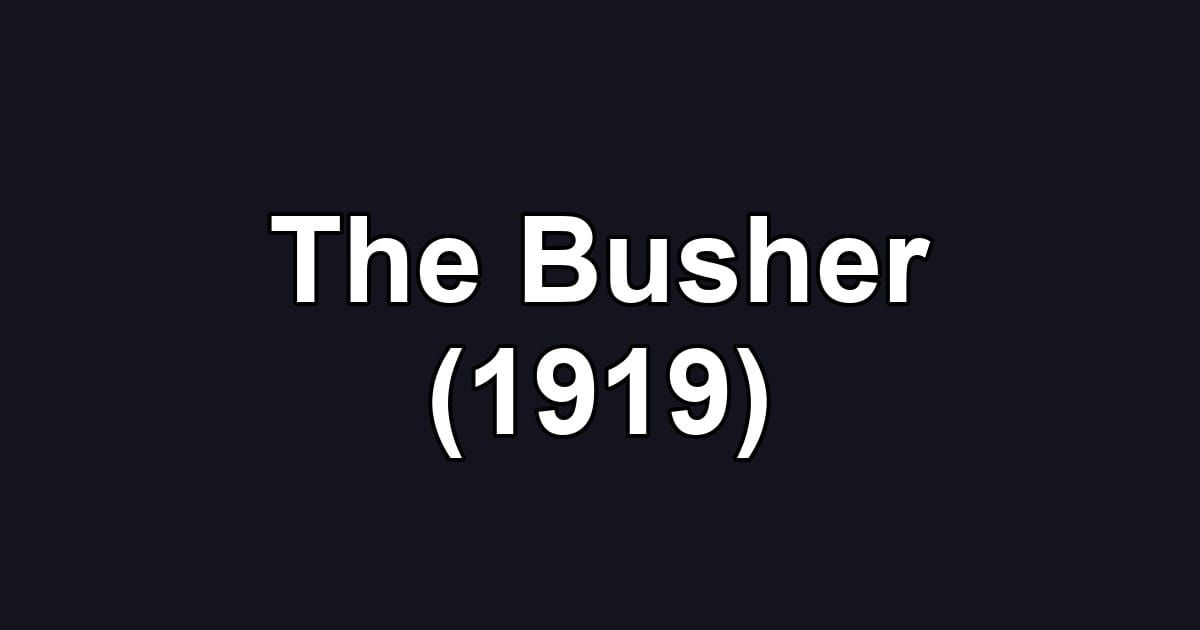 The Busher (1919)