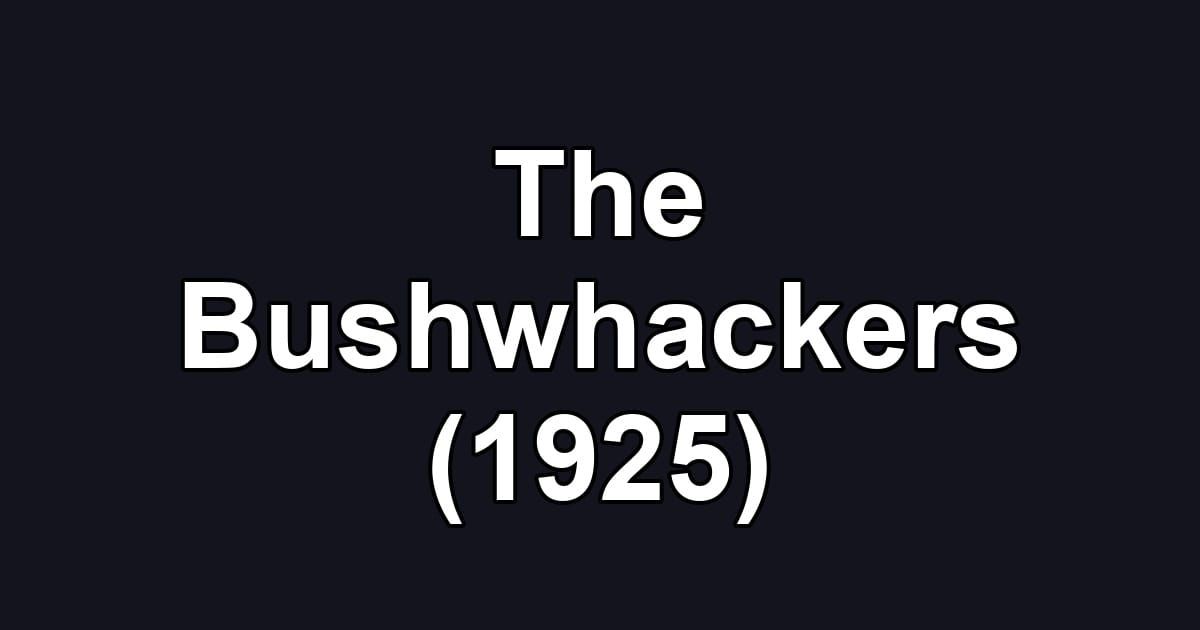 The Bushwhackers (1925)