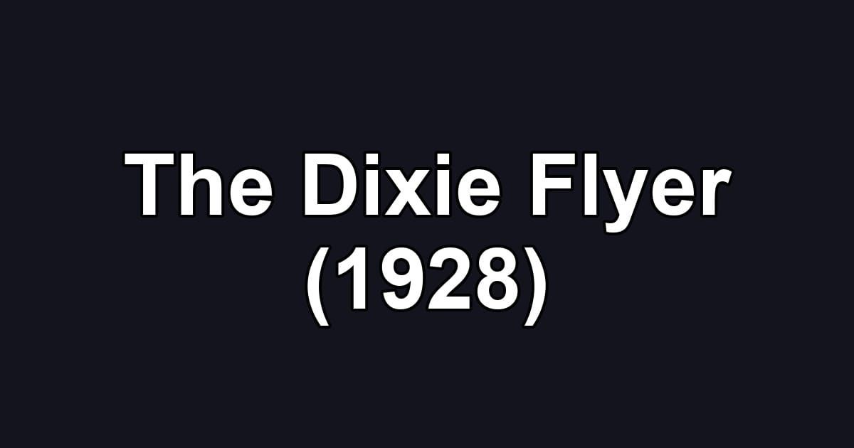The Dixie Flyer (1928)