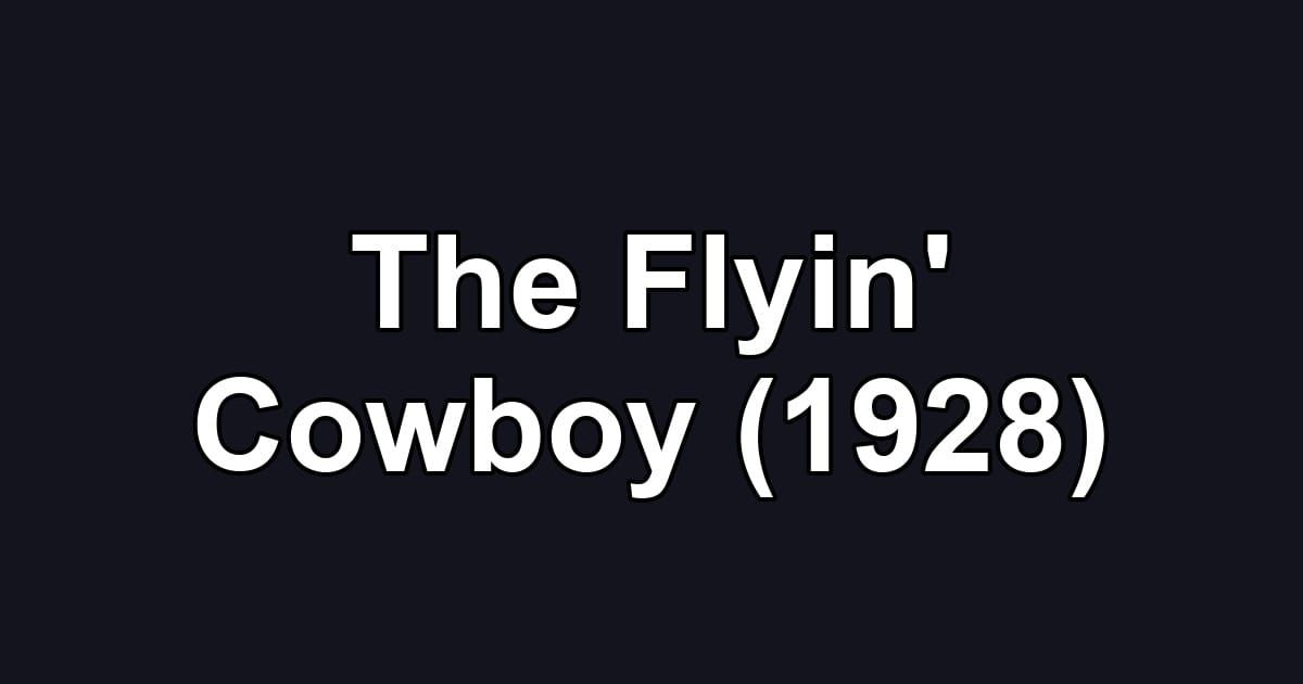 The Flyin' Cowboy (1928)
