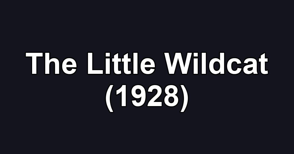 The Little Wildcat (1928)
