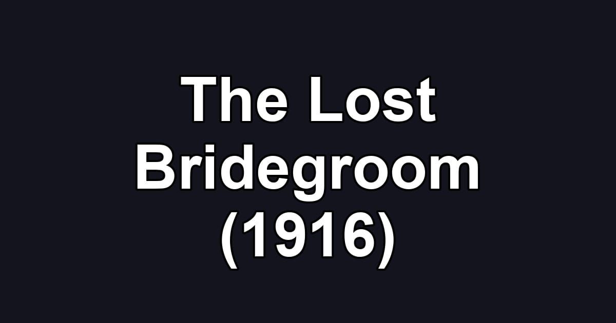 The Lost Bridegroom (1916)
