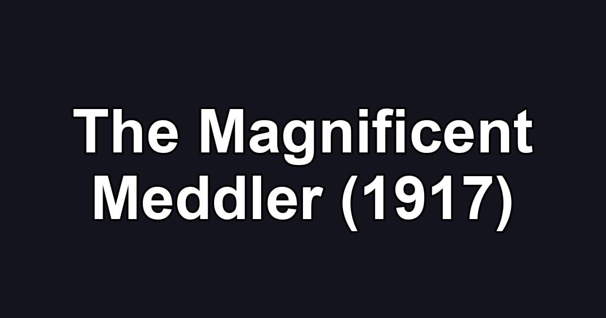 The Magnificent Meddler (1917)