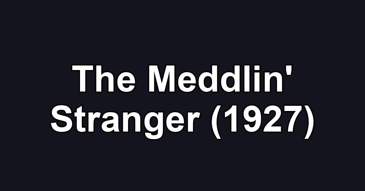 The Meddlin' Stranger (1927)