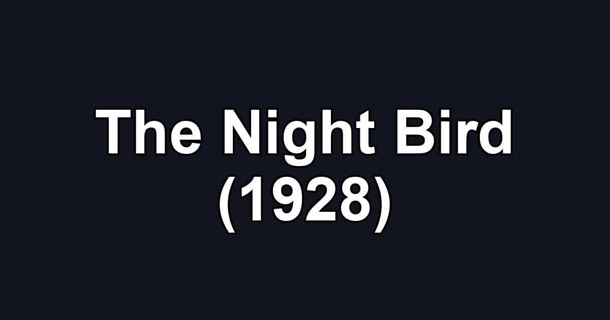 The Night Bird (1928)