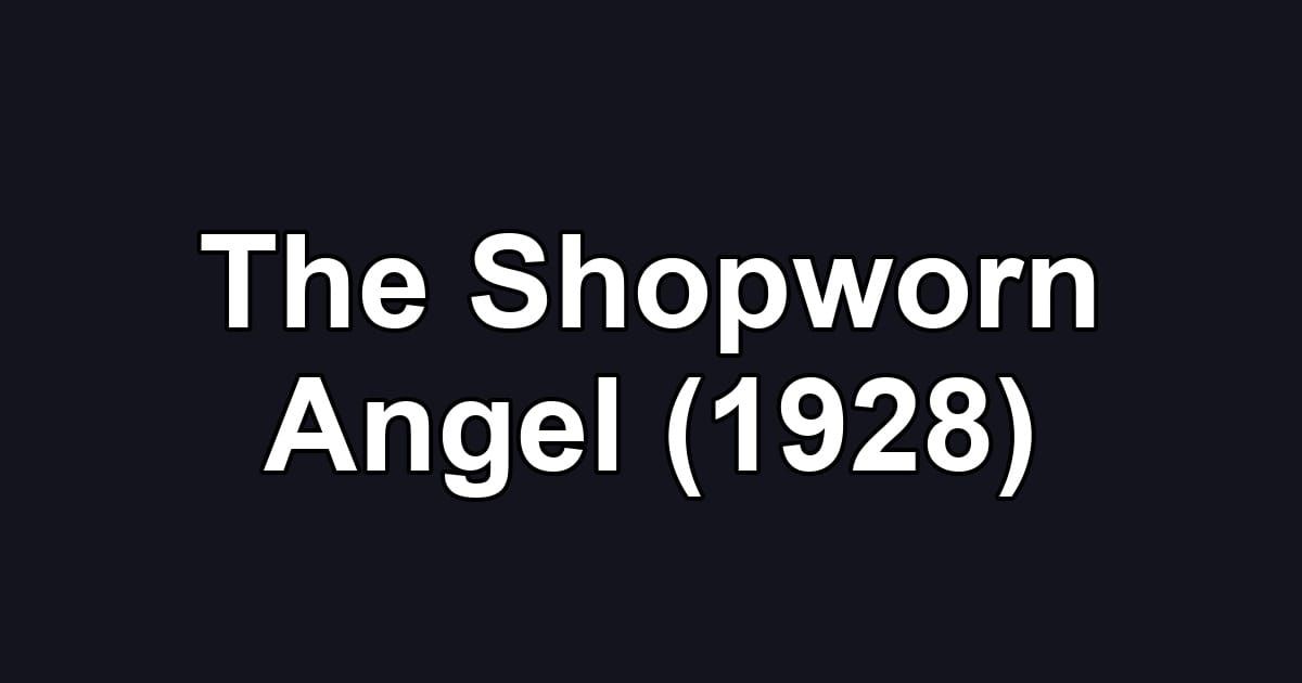 The Shopworn Angel (1928)