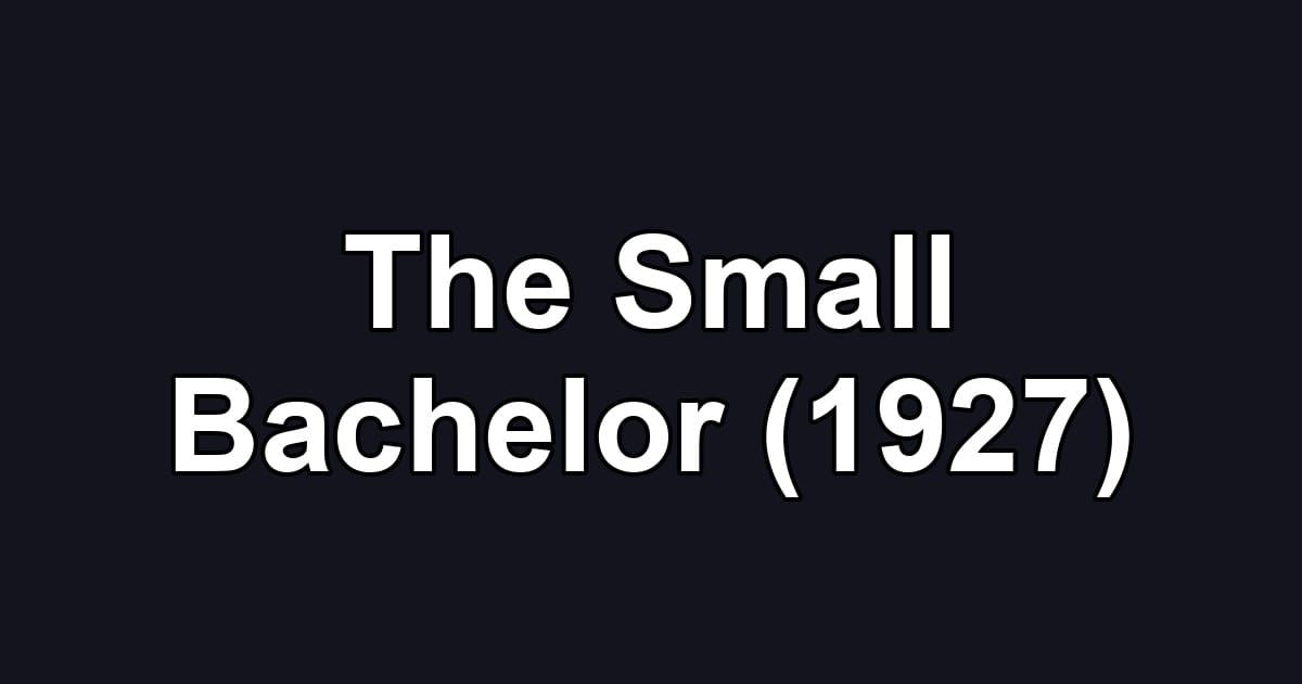 The Small Bachelor (1927)