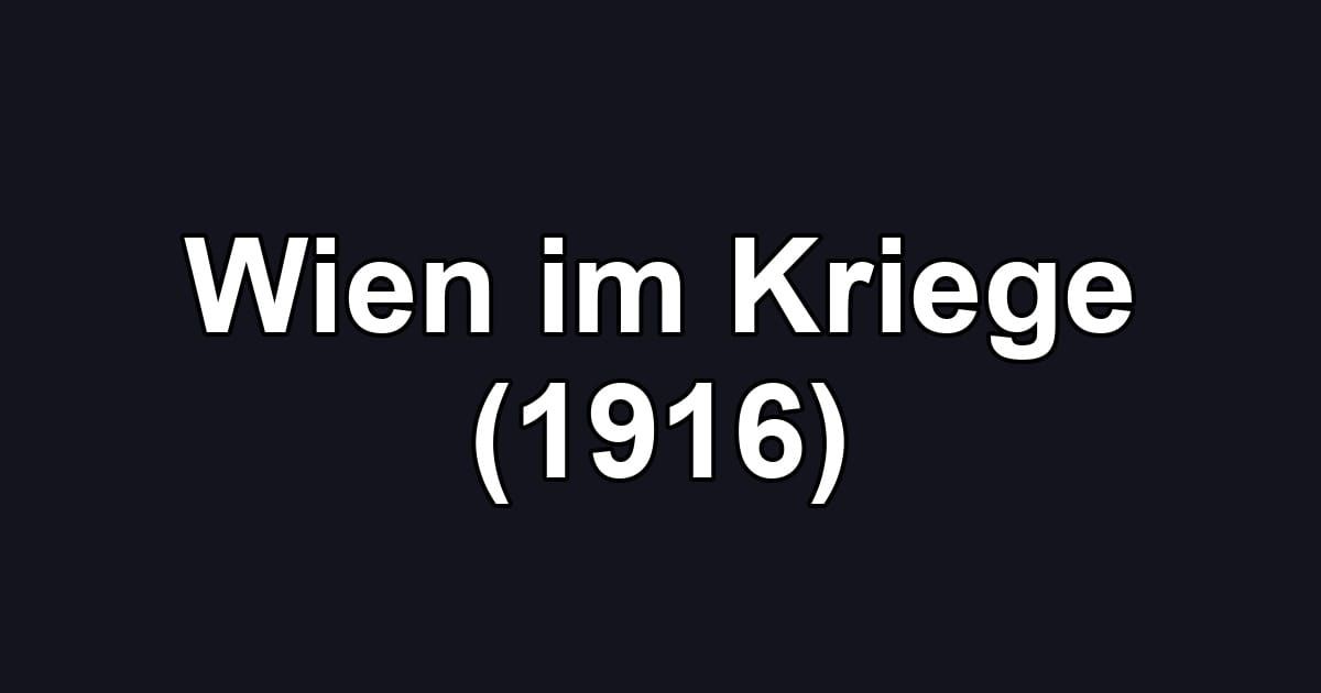 Wien im Kriege (1916)