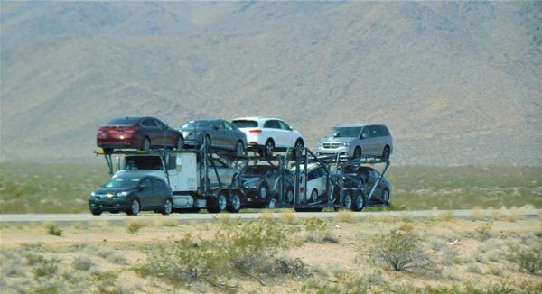 Hatchback vs. SUV in Kenya: Which Ride Truly Suits Your Grind?