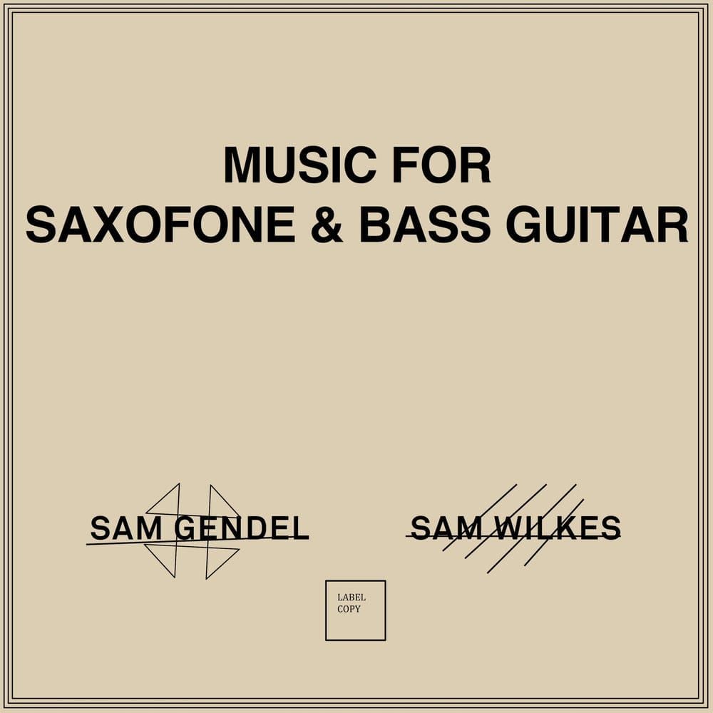 SAM GENDEL & SAM WILKES ー Music for Saxofone  and Bass Guitar