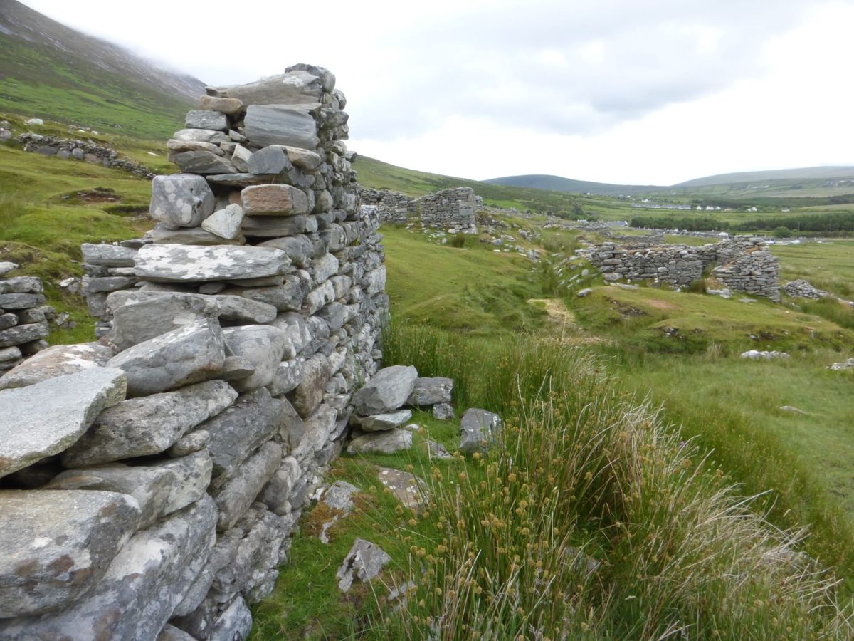 The rundale system in Ireland:  Looking to the past for a post-growth cooperative future
