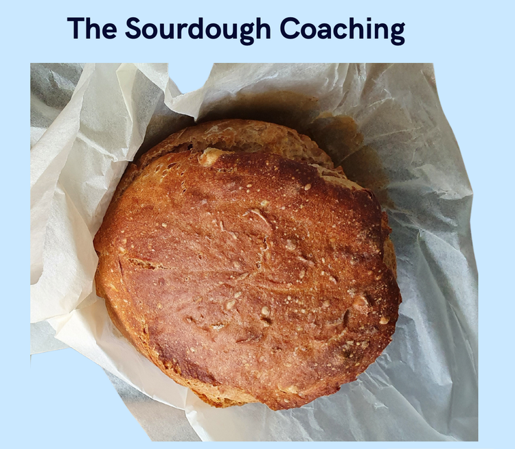 Most people can’t hear their truth… because their gut is lying.