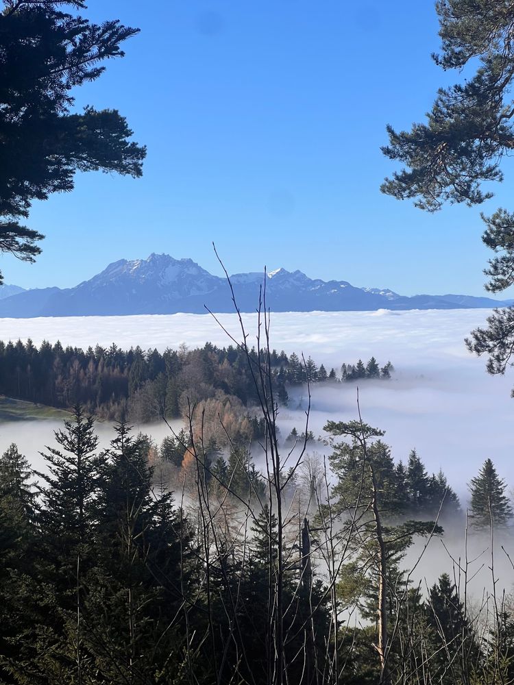 When effort is high but something still feels off