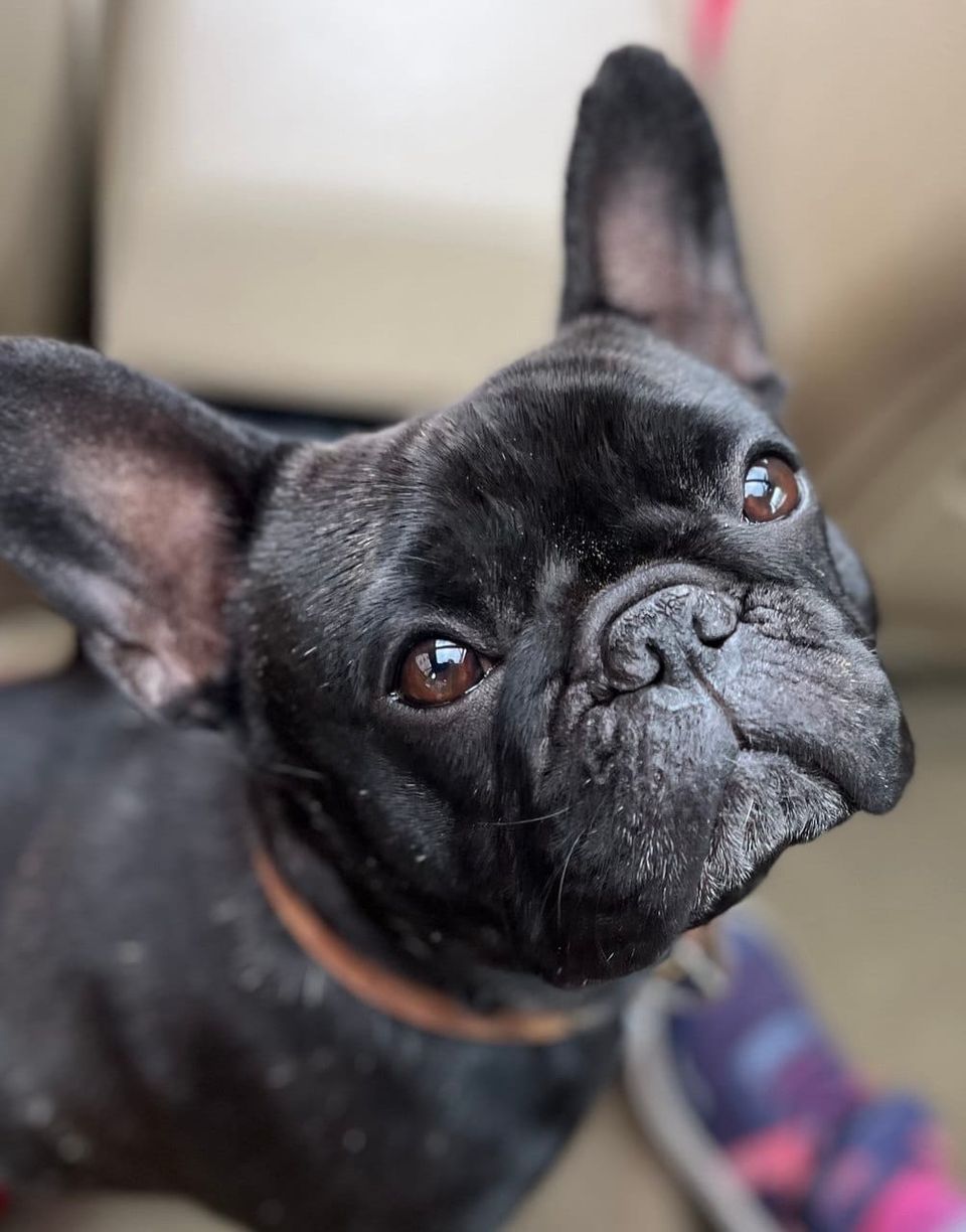 Stop Pretending You're Fine: The Real Cost of Bottling It Up