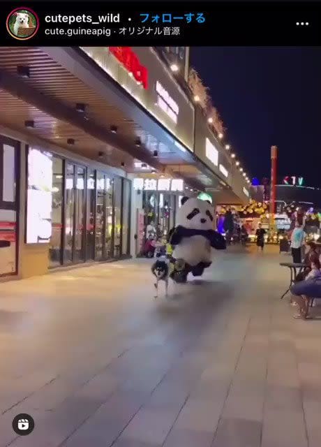 Another good week to be a Stoic