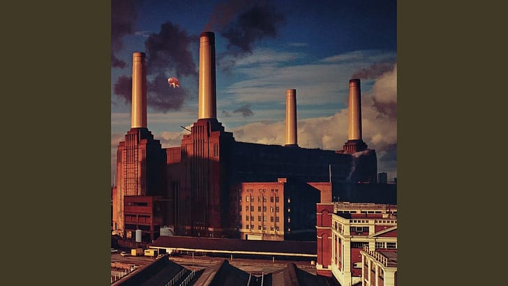 A swivel-eyed mayor calling us sheep while asking for sheep medicine