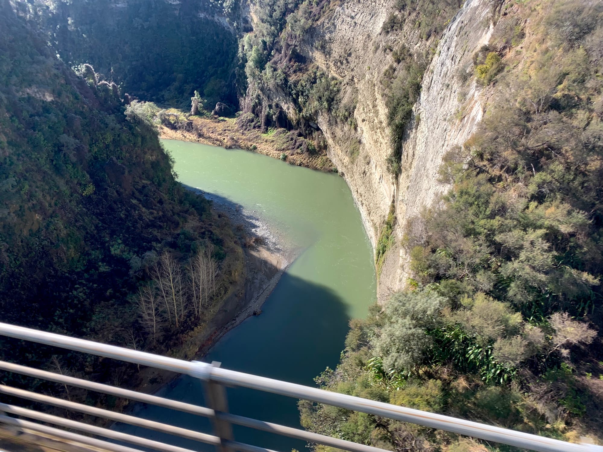 Trip of a lifetime