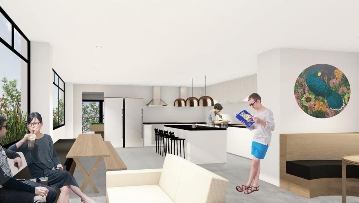 Think big New Zealand, and all your housing problems will be tin