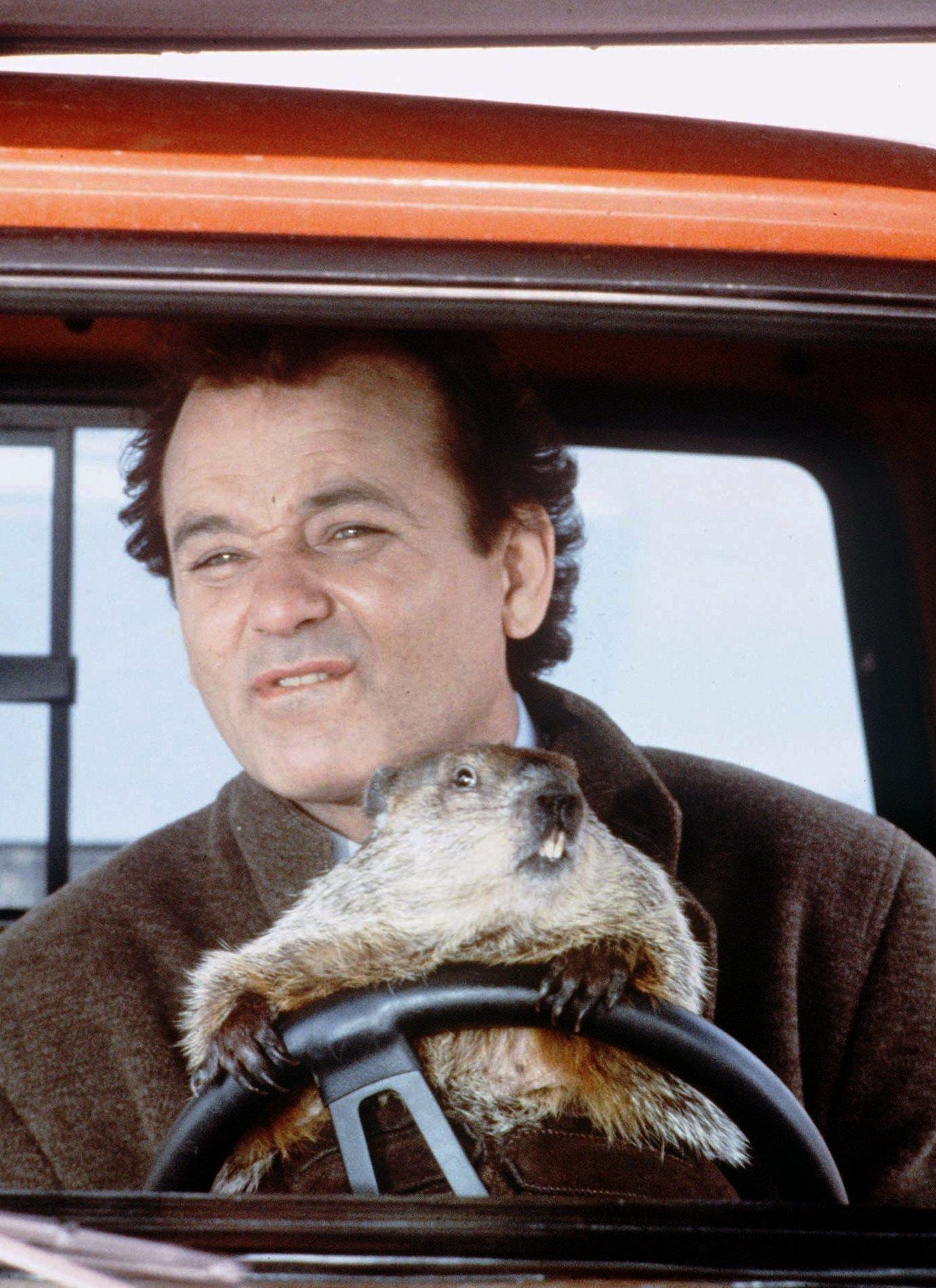 How much of our political life feels like Groundhog Day?