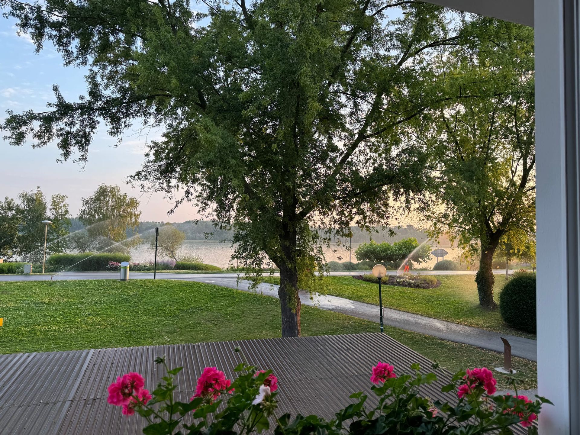 Helicopters and pavlova and none of the above