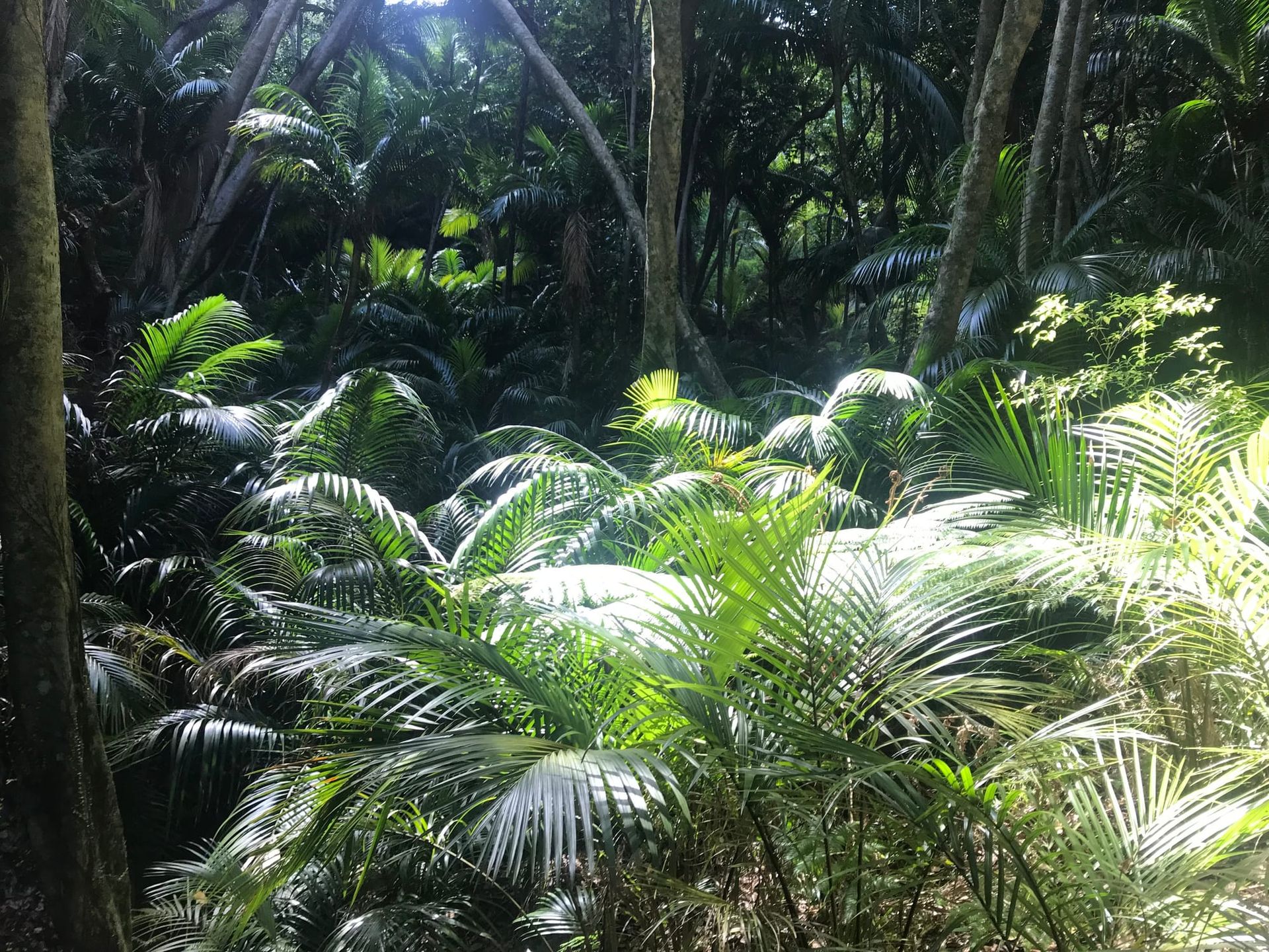 As big as our problems are, the possibilities are bigger