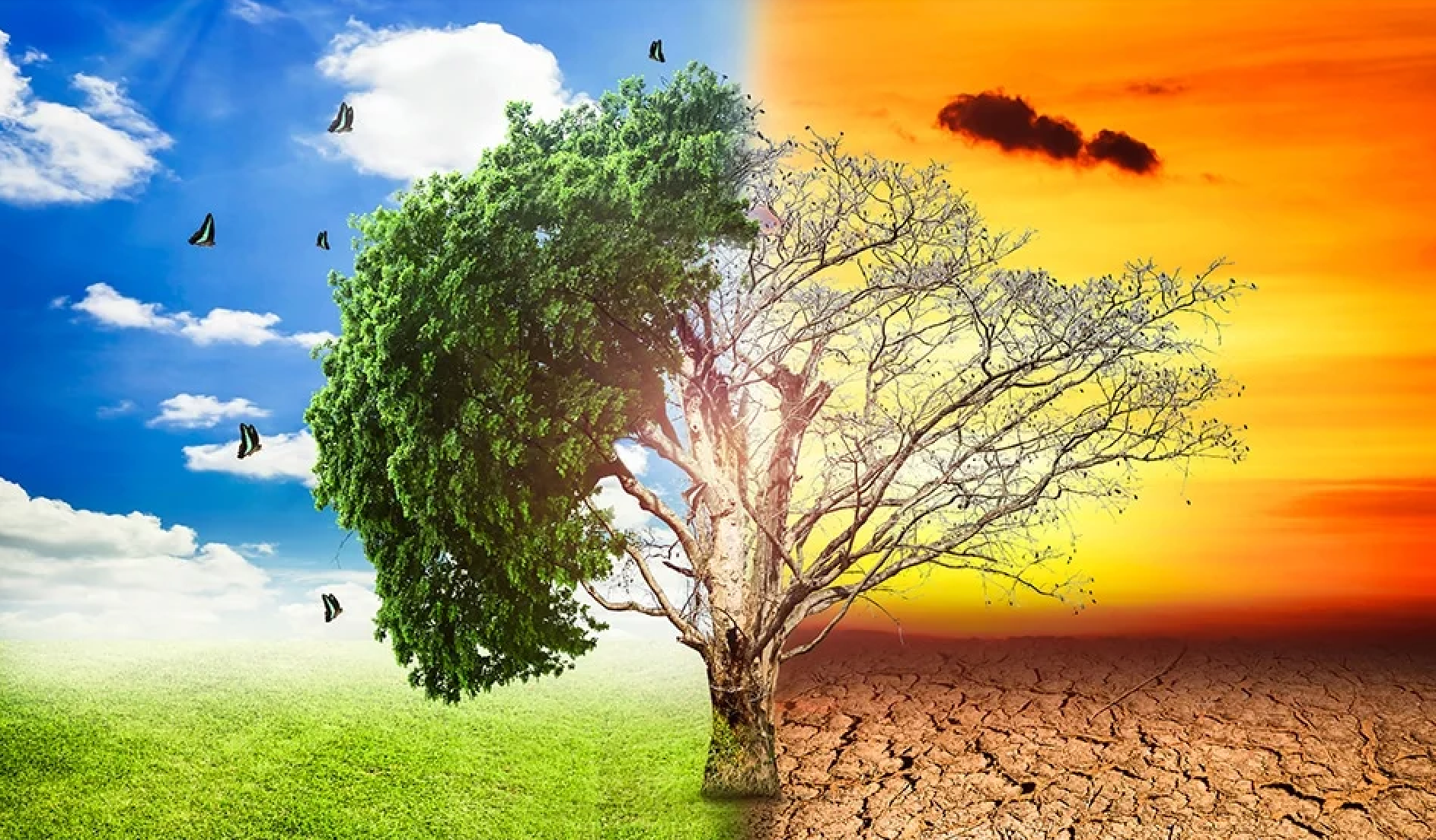 The climate Gospel according to Judith and Stuart