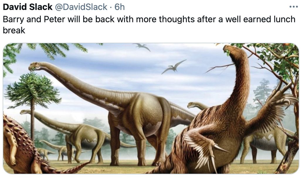 No more dinosaurs