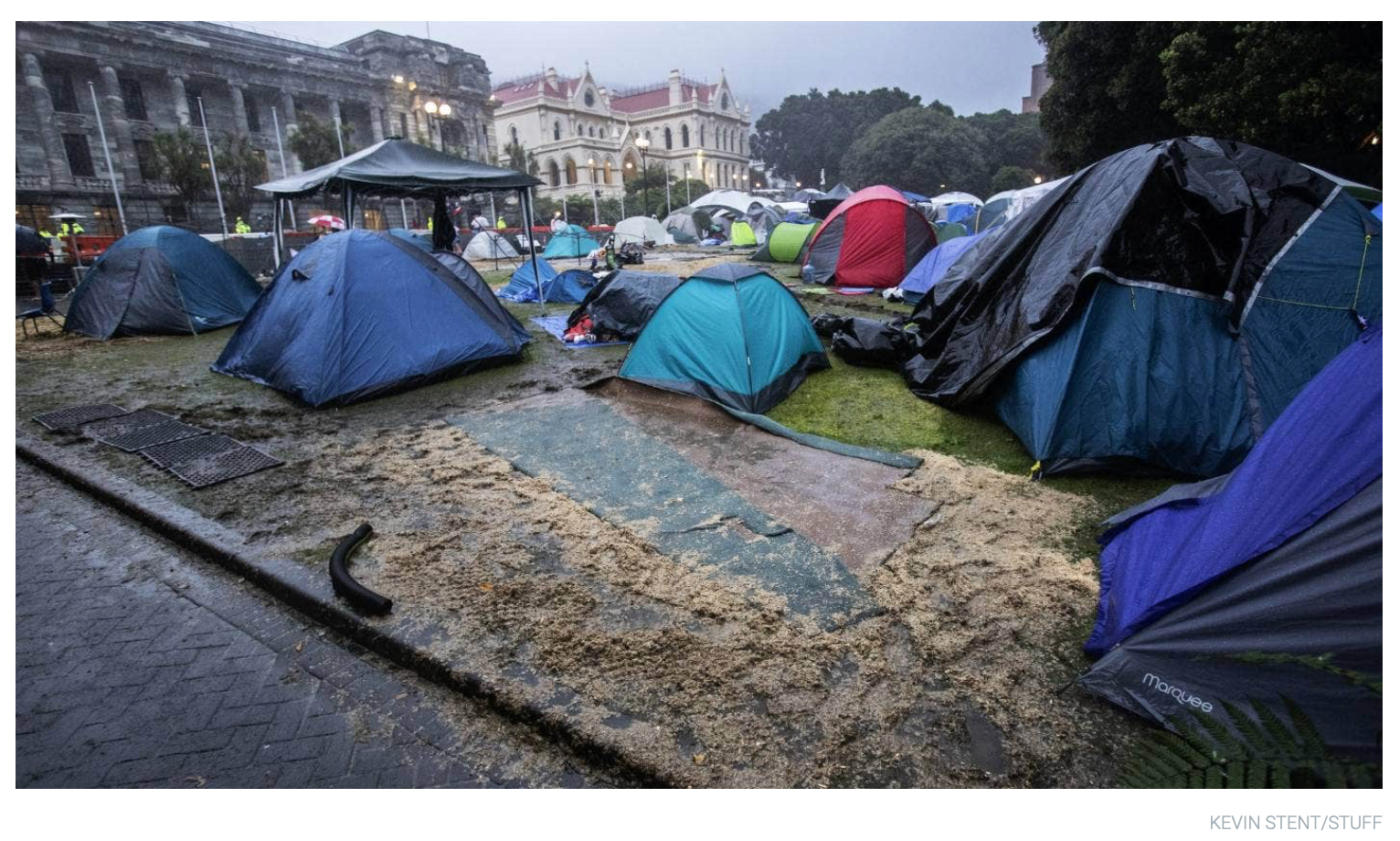 How is it faring, the People’s Lawn?