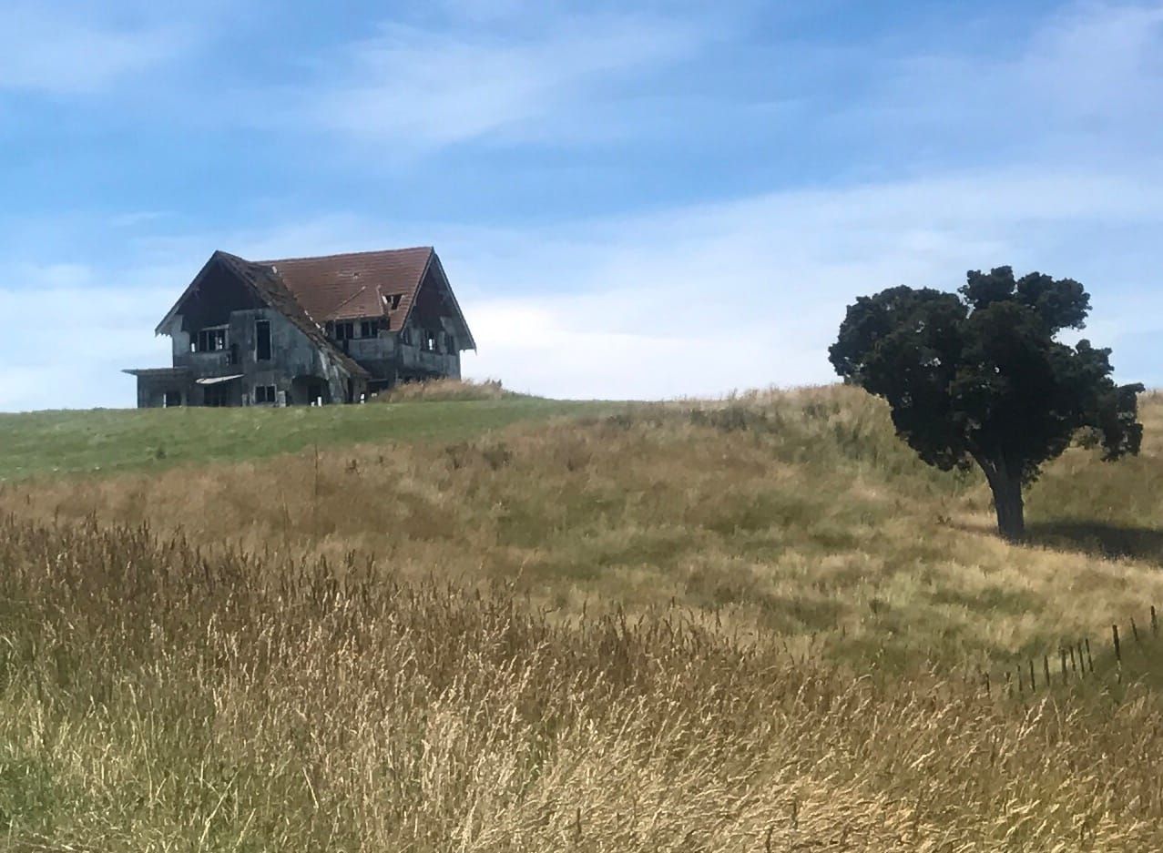 Splendour in the baked grass