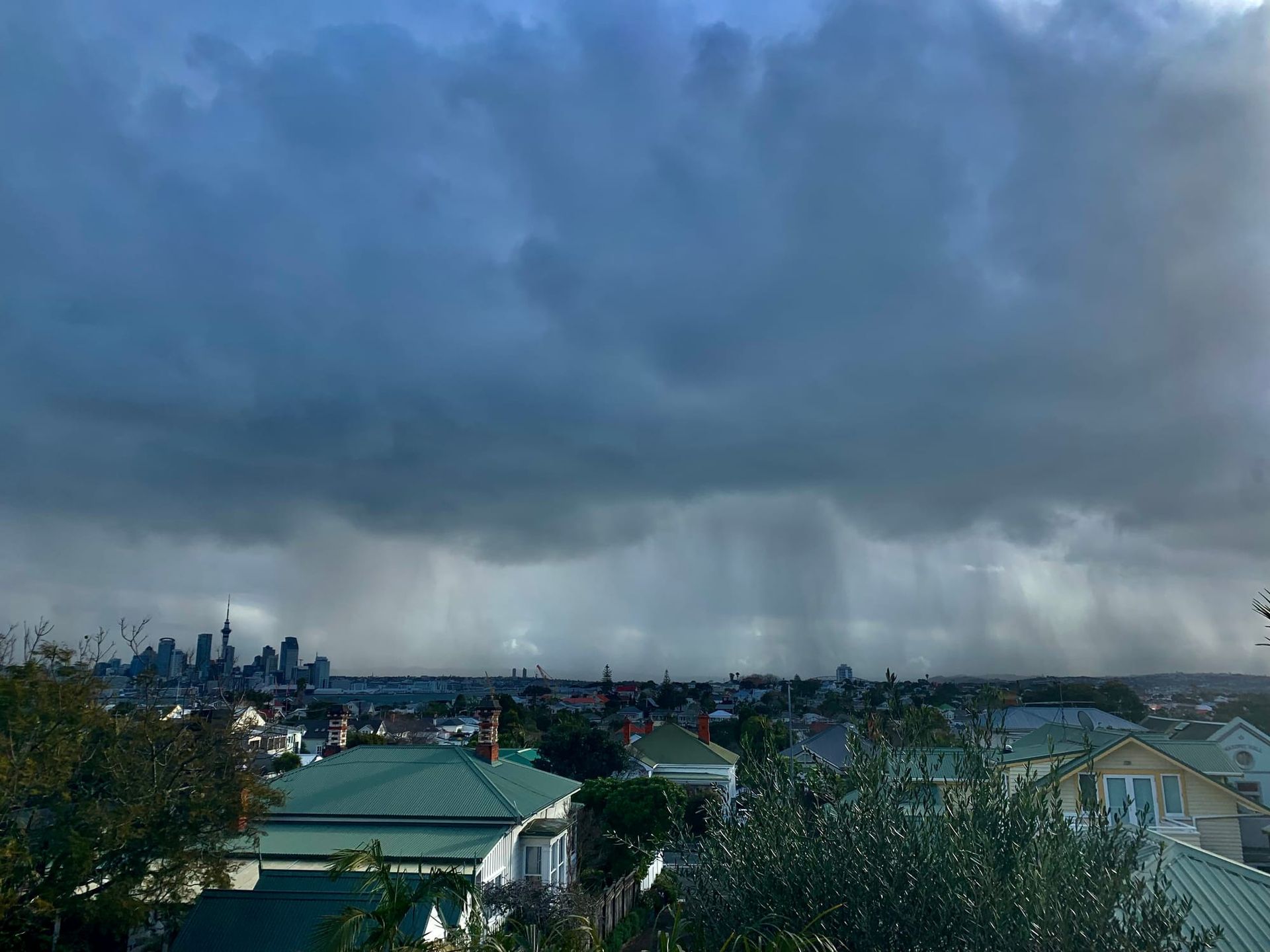 Reporting live from Devonport sur Plague