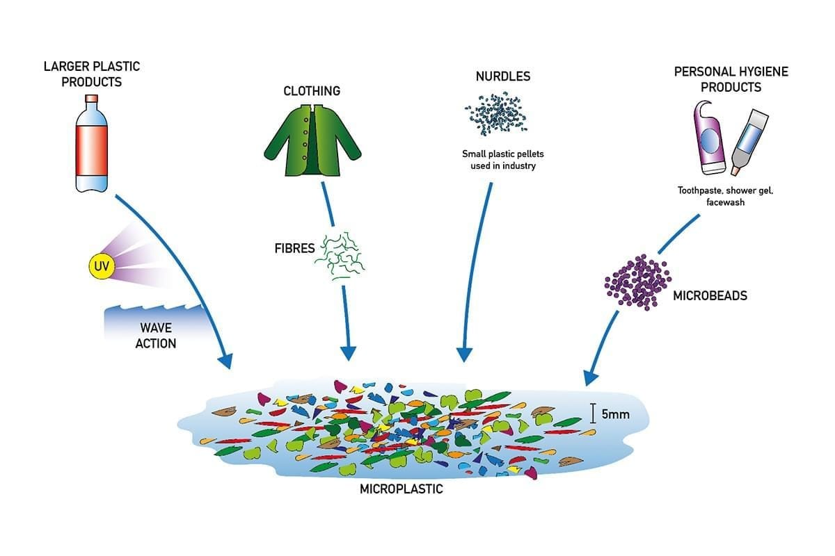 What are microplastics and where do they come from? | Encounter Edu