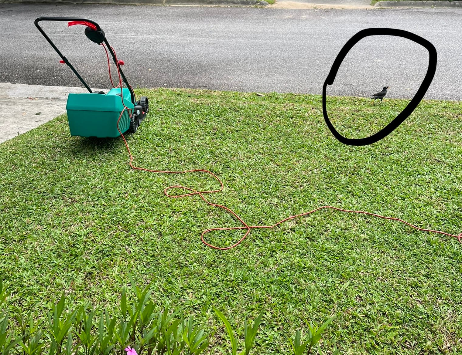 Say hi to my mum's friend! 