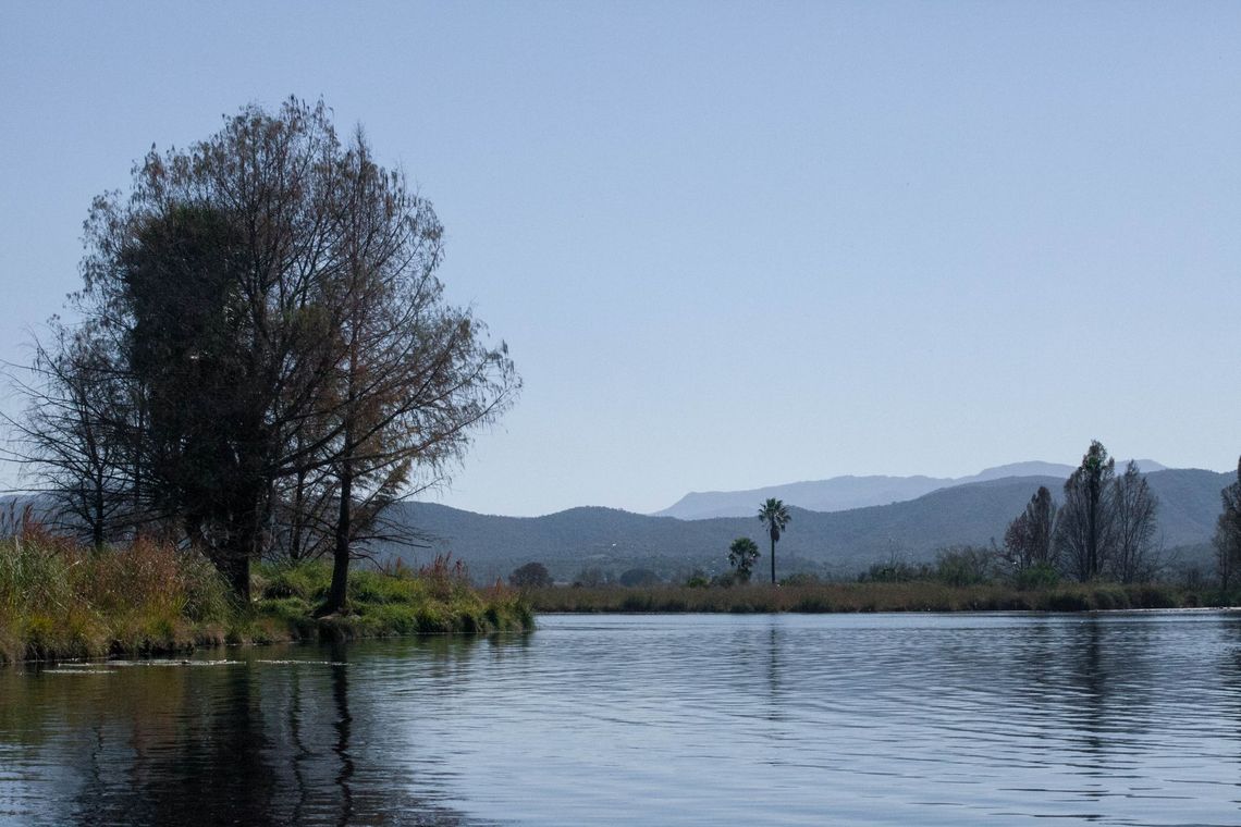 A tranquil lagoon with calm waters and trees can be seen on the picture.