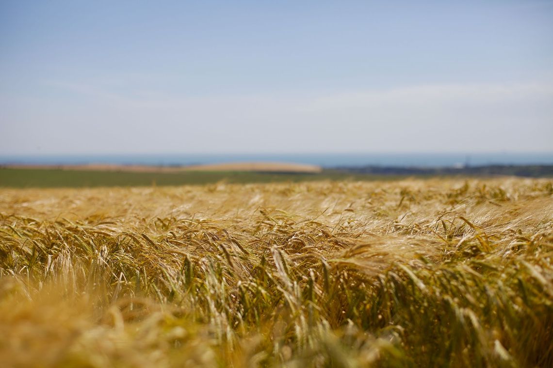South Downs National Park, England