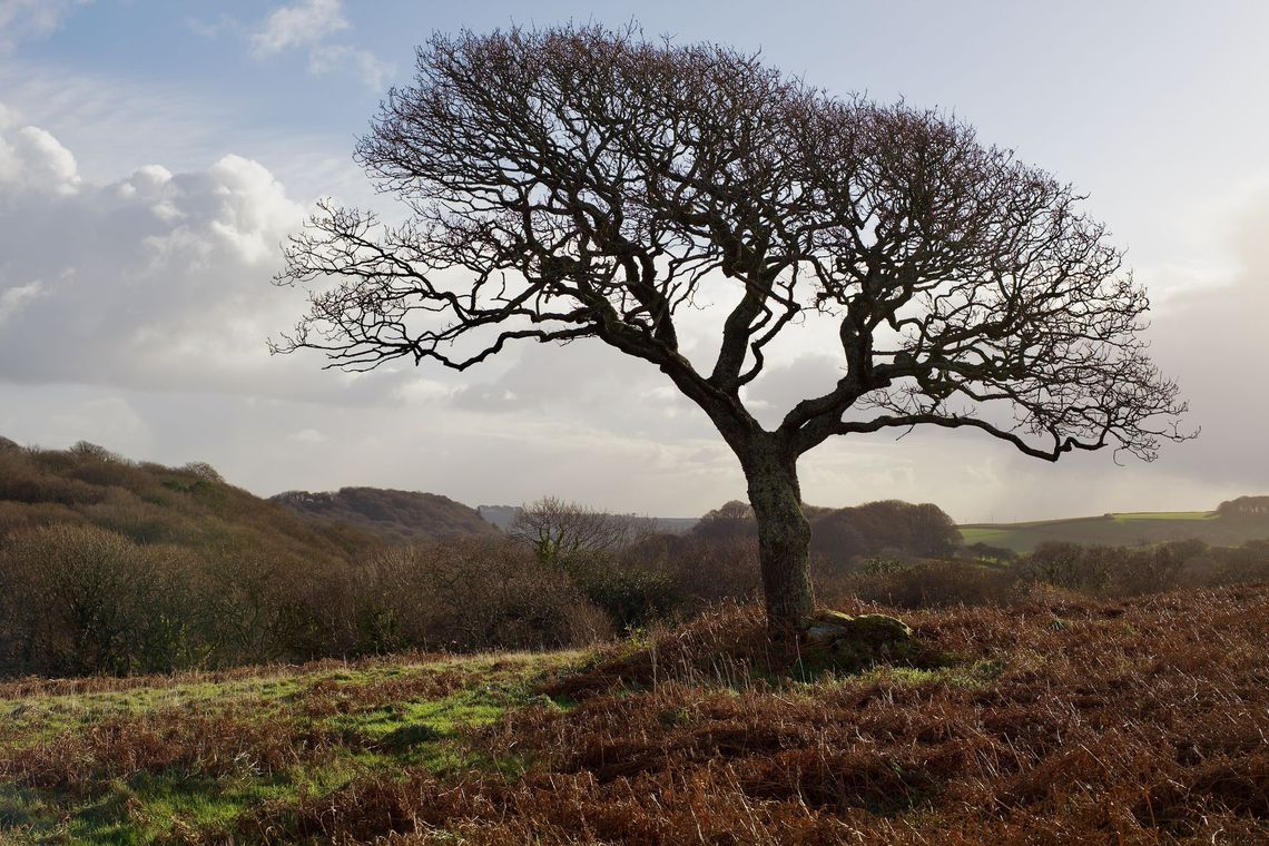 Luxulyan, England